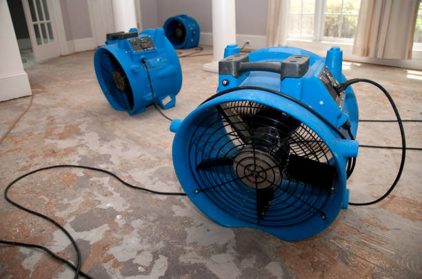 Best Flood damage cleanup  in Ledbetter, KY