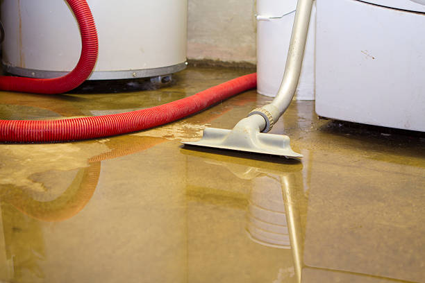 Best Commercial water damage restoration  in Ledbetter, KY