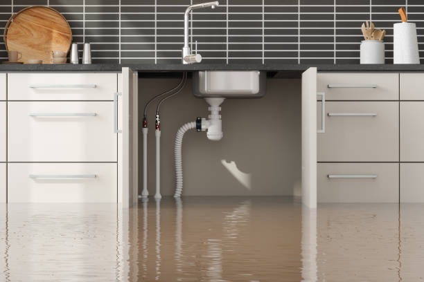 Best Water damage restoration near me  in Ledbetter, KY